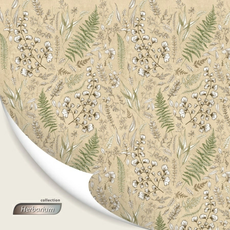 8 Кофр для хранения Hausmann Herbarium 100x50x15см фото 10